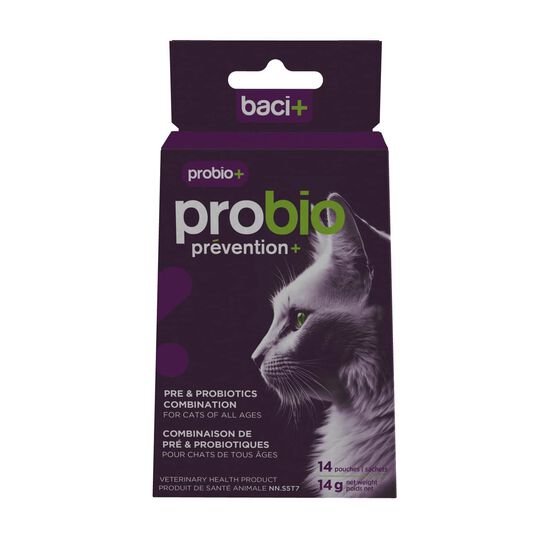 Pr&eacute; et probiotiques pour chats Image NaN