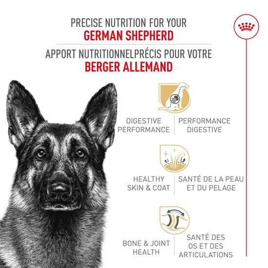 Nourriture s&egrave;che pour chiens adultes de race Berger Allemand Image NaN