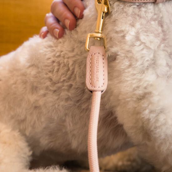 Laisse FuzzYard Life Atelier pour chiens, rose p&acirc;le Image NaN
