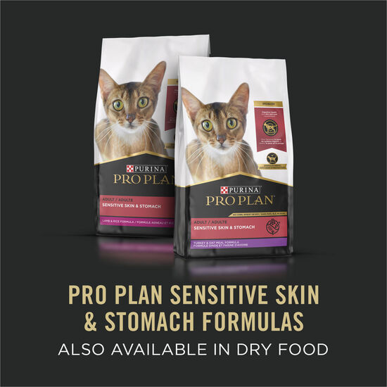 Specialized Sensitive Skin & Stomach Chicken Entrée for Cats, 85 g Image NaN