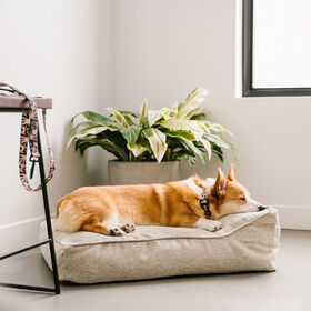 Lit th&eacute;rapet tiss&eacute;