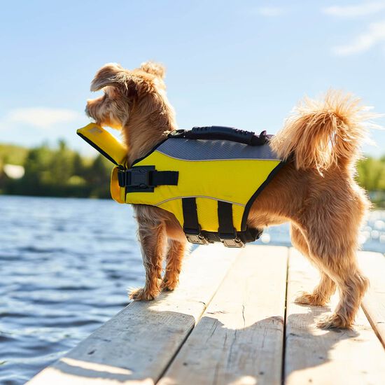 Adjustable Life Jacket for Dogs Image NaN