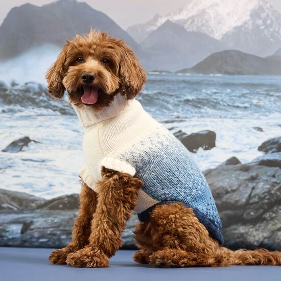 Pull col roul&eacute; sculpt&eacute; pour chiens, Bleu marin Image NaN