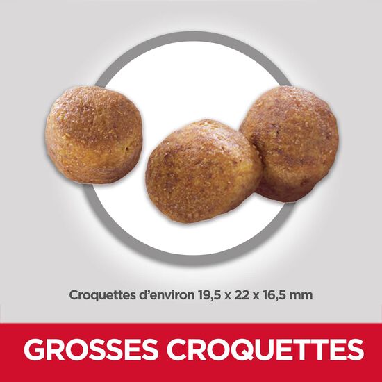 Adult Oral Care Chicken, Rice & Barley Recipe Dry Dog Food, 6.8 kg Image NaN