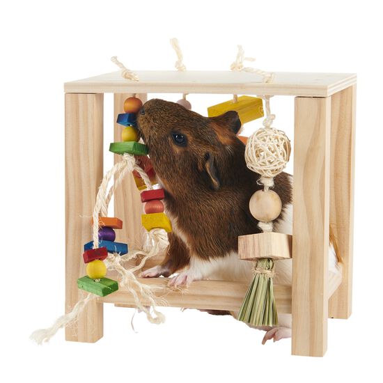 Rodent Play Table Image NaN