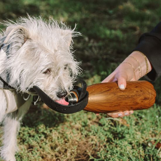 Travel Water Bowl, Onyx Image NaN