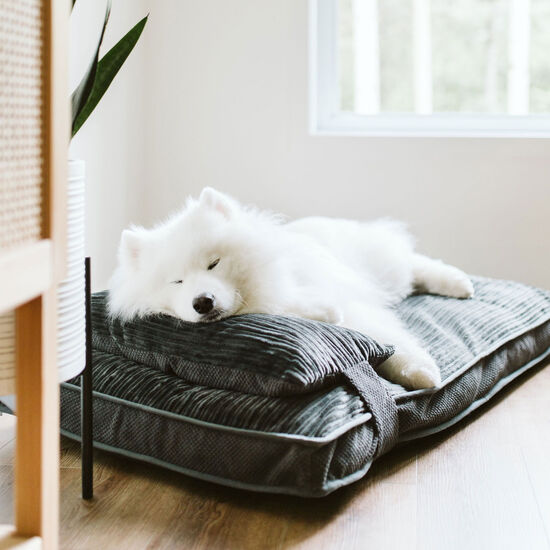 Lit double confort, Gris chic Image NaN