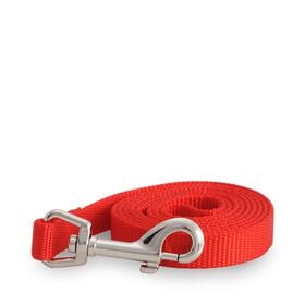Red nylon simple leash
