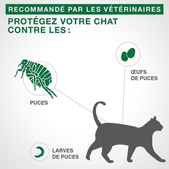 Protection topique contre les puces pour chats + de 4 kg, 6 un. Image NaN