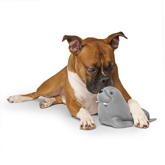 Freeze and Chill Cooling Pal Toy, Grey Walrus Image NaN
