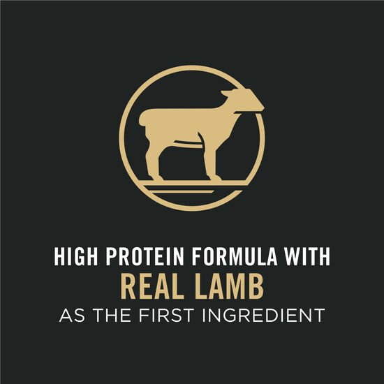 Sport Small Bites 27/17 Lamb and Rice Formula Dry Dog Food, 17 kg Image NaN