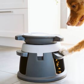 Bol interactif Intellidog