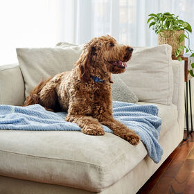 Ultra-soft Jacquard Blanket, Celestial Blue