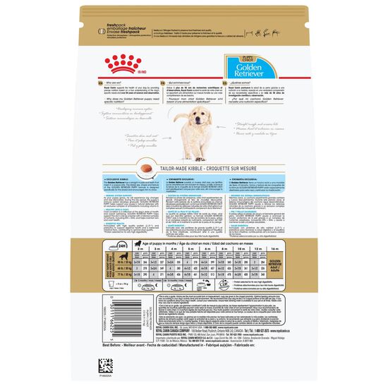 Nourriture s&egrave;che pour chiots de race Golden Retriever Image NaN