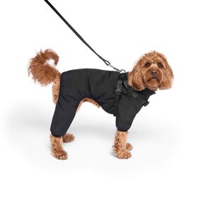 Combinaison de neige &agrave; harnais pour chiens