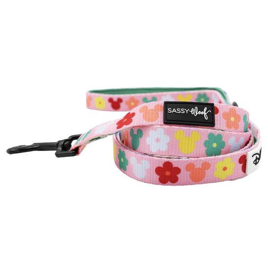 Ensemble de promenade Disney's Rainbow Frenzy pour chiens Image NaN