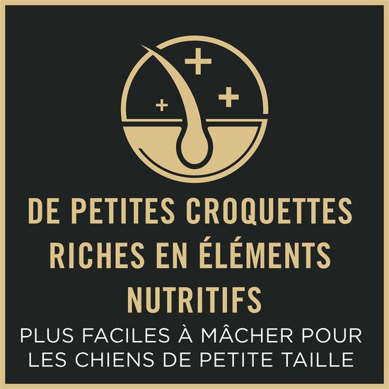 Specialized Shredded Blend Chicken and Rice Formula Dry Food for Small Breed Adult 7+ Dogs, 2.72 kg Image NaN