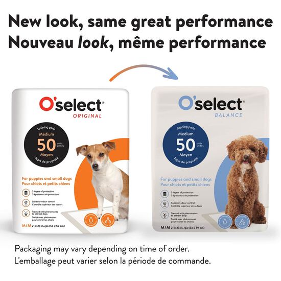 Tapis de propret&eacute; pour petits chiens et chiots, 50 un Image NaN