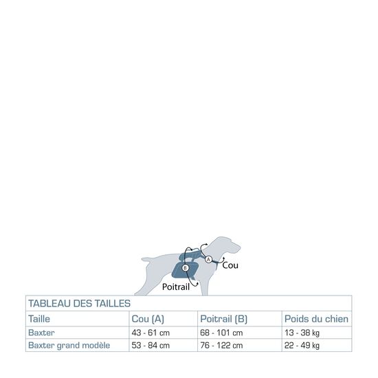 Grand Sac à dos Baxter, bleu côtier Image NaN