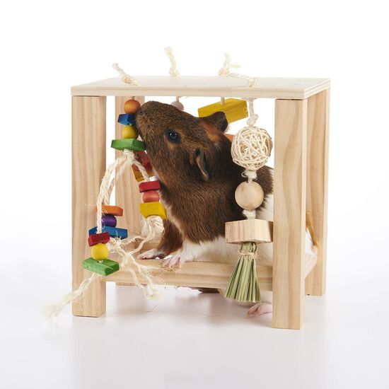 Table de jeu pour rongeurs Image NaN
