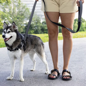 Jacquard Leash for Dogs