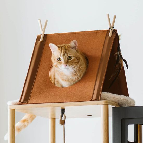 Tente pour chats Image NaN