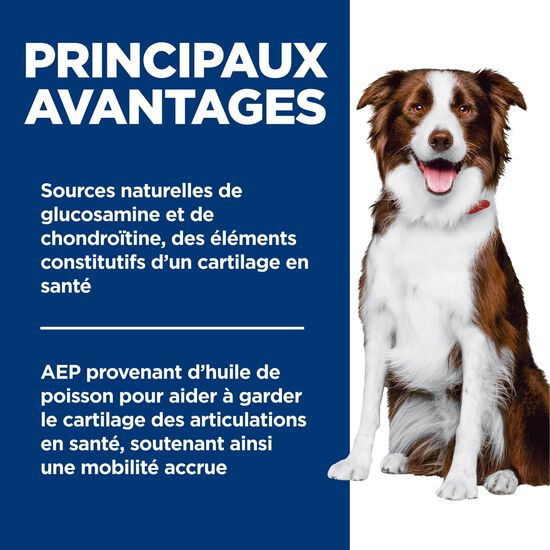 Adult Healthy Mobility Large Breed Chicken Meal, Brown Rice & Barley Recipe Dry Dog Food,13.6 kg Image NaN