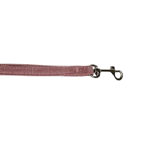 Mini Nylon Leash for Dogs, Dusty Pink Image NaN