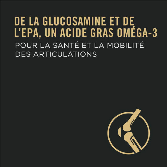 Nourriture s&egrave;che formule poulet et riz pour chiens adultes de grandes races, 21,3 kg Image NaN