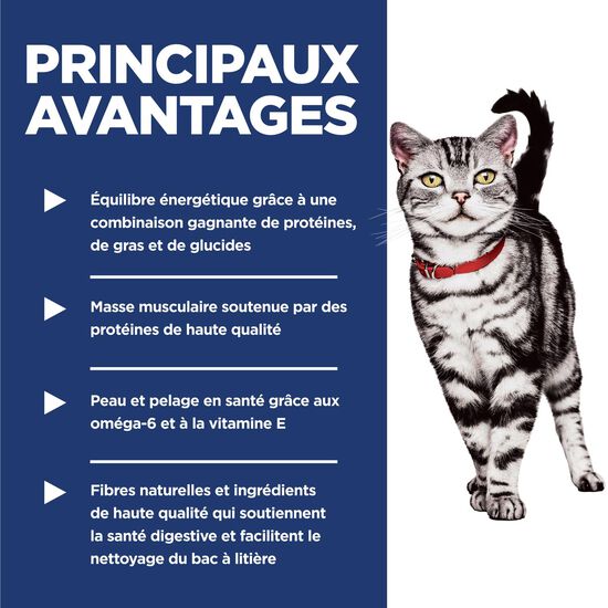 Nourriture sèche « Indoor » au poulet pour chats adultes, 7,03 kg Image NaN