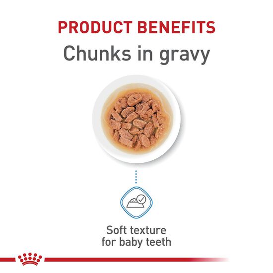 Size Health Nutrition™ Small Puppy Chunks in Gravy Pouch Dog Food Image NaN