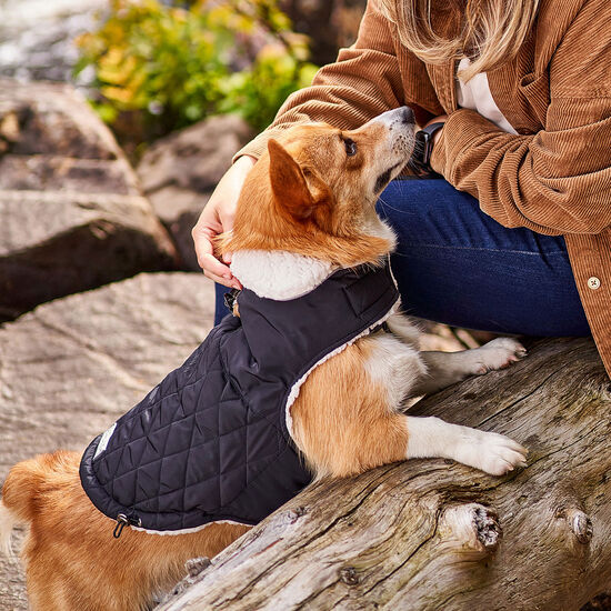 Wrap r&eacute;versible d'hiver pour chien Image NaN