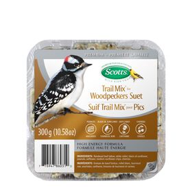 Trail Mix for Woodpeckers Suet