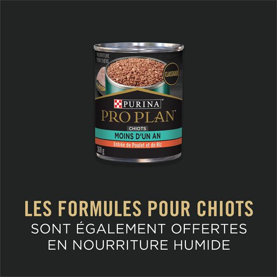 Nourriture s&egrave;che D&eacute;veloppement peaux et estomacs sensibles au saumon et riz pour chiots,  1,81 kg Image NaN