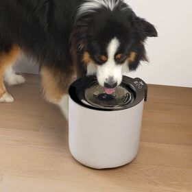 Abreuvoir intelligent Oasis Plus pour chiens, 6 L