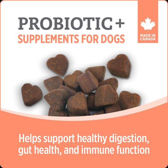 Suppl&eacute;ment probiotique + pour chiens,  400 g Image NaN
