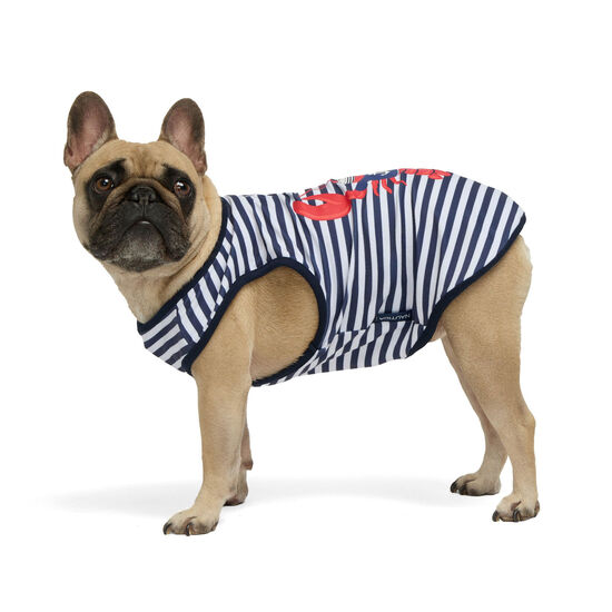 Camisole nautique avec imprim&eacute; d'homard pour chiens Image NaN