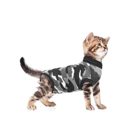 Vêtement de convalescence pour chats Image NaN