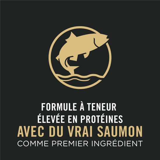 Complete Essentials Shredded Blend Salmon & Rice Formula Dry Dog Food, 15 kg Image NaN