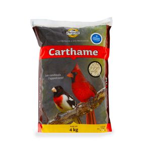 Graines de carthame pour oiseaux sauvages