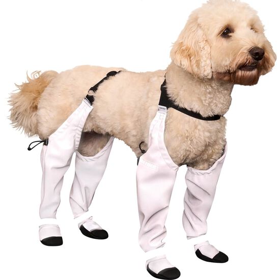 Reflective Suspender Boots for Dogs Image NaN