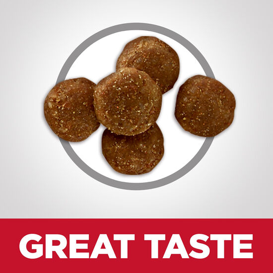 Nourriture sèche Adulte sénior 7+ « Perfect Digestion » au poulet, 5,89 kg Image NaN