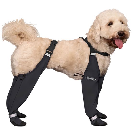 Reflective Suspender Boots for Dogs Image NaN