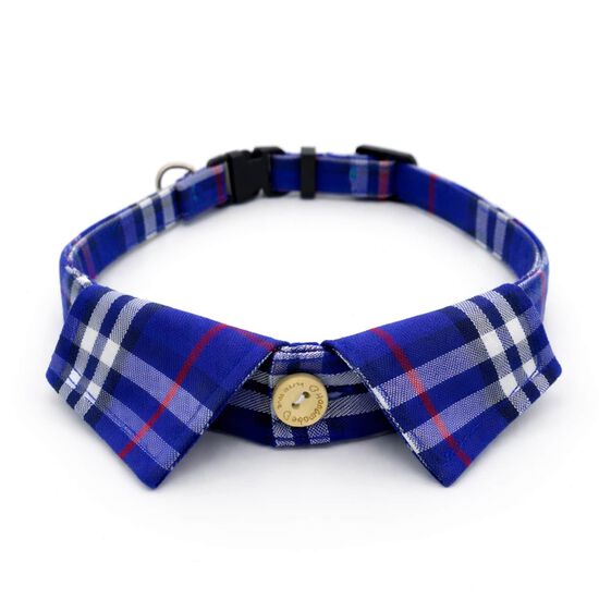 Collier style chemise habill&eacute;e pour chiens Image NaN