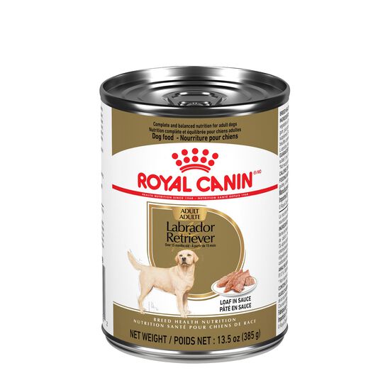 Nourriture humide pour chien adulte de race Labrador Retriever Image NaN