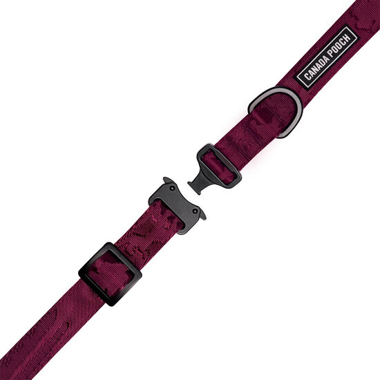 Collier utilitaire pour chiens Image NaN