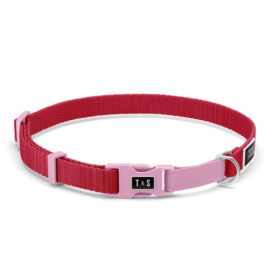 Collier réglable pour chats Image NaN