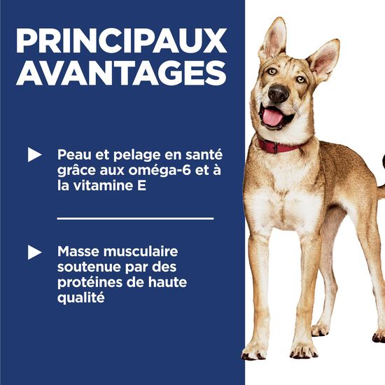 Nourriture sèche au poulet et à l’orge pour chiens adultes, 15,9 kg Image NaN