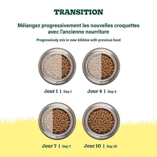 Nourriture sèche recette au poulet pour chats adultes, 10 kg Image NaN