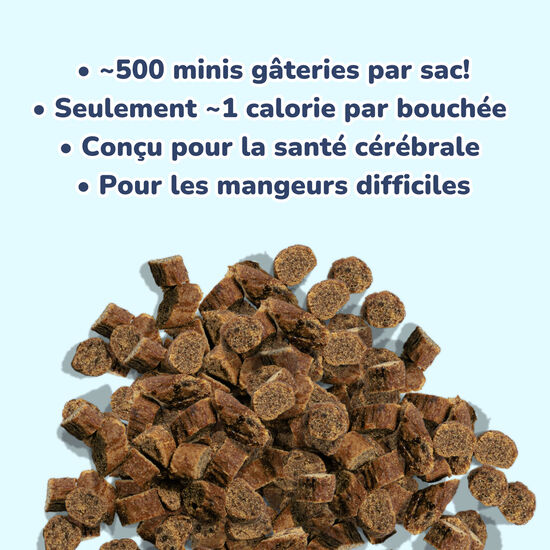 Mini Training Salmon Treats for Dogs Image NaN